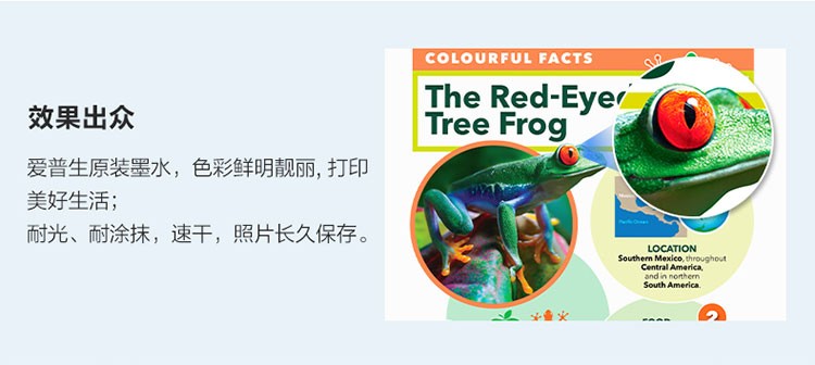 爱普生004系列T00U1原装墨水黑色单只装（适用L3558/L3556/L1258/L311X/L315X/L316X/L325X/L326X系列等）