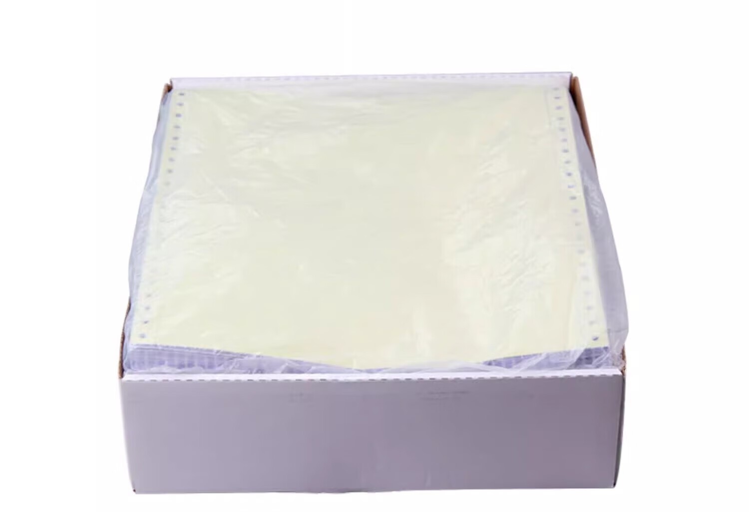 立信241电脑针式打印纸连打电脑打印纸出库送货清单发票单据打印纸241 二联整张可撕边（1000页）