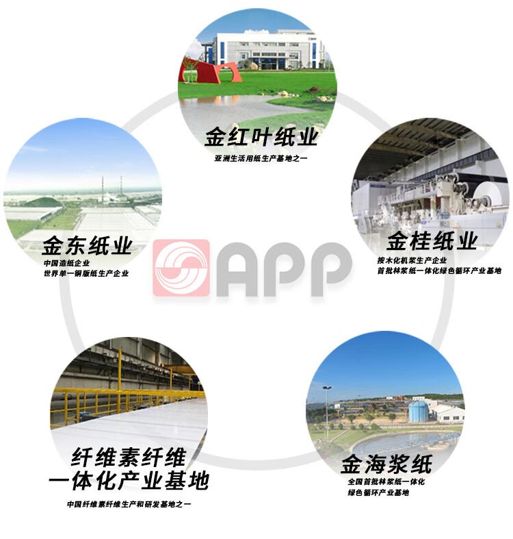 蓝蜗牛 A4/80g 双面打印复印纸 A4打印纸 500张/包 5包/箱（2500张）APP金光（APP）