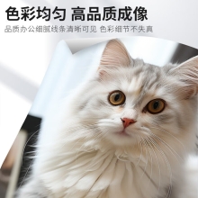 佳能 NPG-88粉盒复合机硒鼓墨粉碳粉盒 适用于C3322L/c3326/c3926/c3930/c3935 NPG88L红色经济装